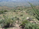 photo thumbnail #4