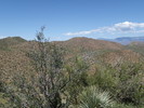 photo thumbnail #11