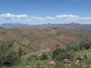 photo thumbnail #12