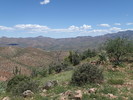 photo thumbnail #13