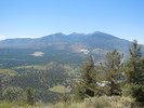 photo thumbnail #7