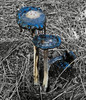 photo thumbnail #4