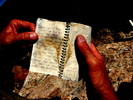 photo thumbnail #6