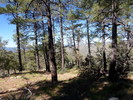 photo thumbnail #8
