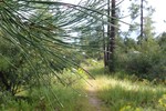 photo thumbnail #7