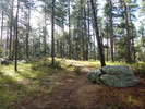 photo thumbnail #10