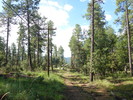photo thumbnail #11