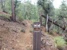 photo thumbnail #12