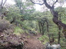 photo thumbnail #13