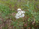 photo thumbnail #15
