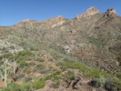 photo thumbnail #8