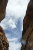 photo thumbnail #11