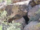 photo thumbnail #4
