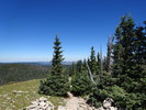 photo thumbnail #4