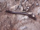 photo thumbnail #5