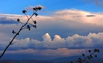 photo thumbnail #13