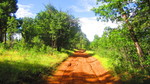 photo thumbnail #2
