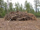 photo thumbnail #8