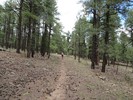 photo thumbnail #12