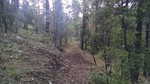 photo thumbnail #5