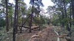 photo thumbnail #15