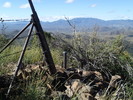 photo thumbnail #12