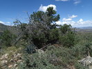 photo thumbnail #7