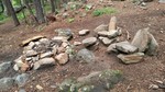 photo thumbnail #7