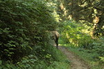 photo thumbnail #10