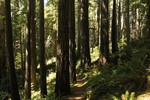 photo thumbnail #14