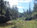 photo thumbnail #6