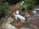 photo thumbnail #3