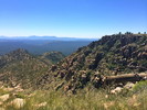 photo thumbnail #4