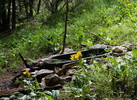 photo thumbnail #8