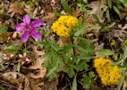 photo thumbnail #14
