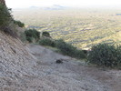 photo thumbnail #7