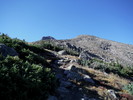 photo thumbnail #10