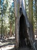 photo thumbnail #11