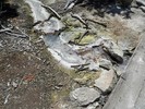 photo thumbnail #9