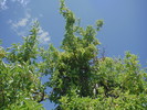 photo thumbnail #11