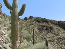 photo thumbnail #1
