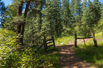 photo thumbnail #7