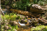 photo thumbnail #11