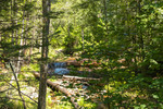 photo thumbnail #13