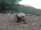 photo thumbnail #7
