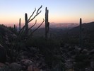 photo thumbnail #12