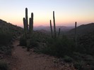 photo thumbnail #14