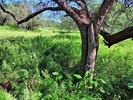 photo thumbnail #11