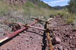 photo thumbnail #4