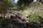 photo thumbnail #7